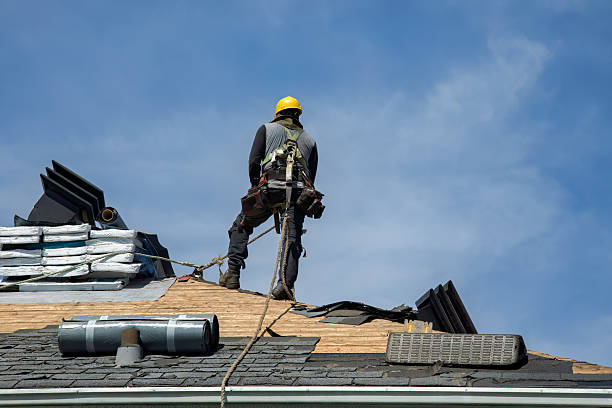Professional Roof Replacement technician working in Amlin, OH